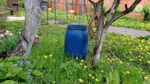 У МЕНЯ ИДЕЯ ФИКС/МУЖ ОГОРЧЁН/НЕЛОВКО/ПОСАДИЛА НОВЫЕ ЦВЕТЫ/ЛЮБУЮСЬ ВИДАМИ/ПОГОДА ШЕПЧЕТ/ДАЧНЫЙ ВЛОГ