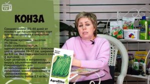 СПАРЖЕВАЯ ФАСОЛЬ ? Обзор лучших сортов от производителя ГАВРИШ