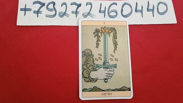 Совет от карт на 3 февраля 2022 года ❗❗❗ смотреть онлайн