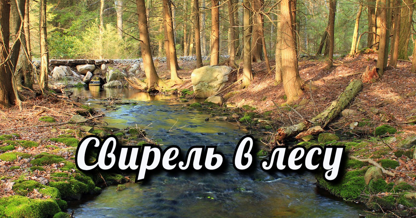 Свирель - в лесу.