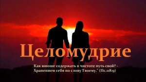 Целомудрие..