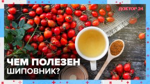 Чем ПОЛЕЗЕН ШИПОВНИК? | Доктор 24