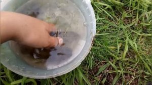 Ловля пескаря на фидер.