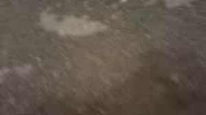 одноклассница