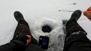 Ловля леща на черта. Десногорское водохранилище