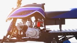 Разборный снегоход Ирбис Динго Т 110