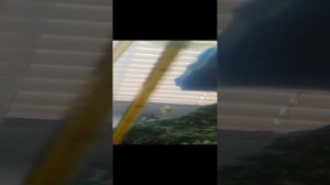 Мой аквариум