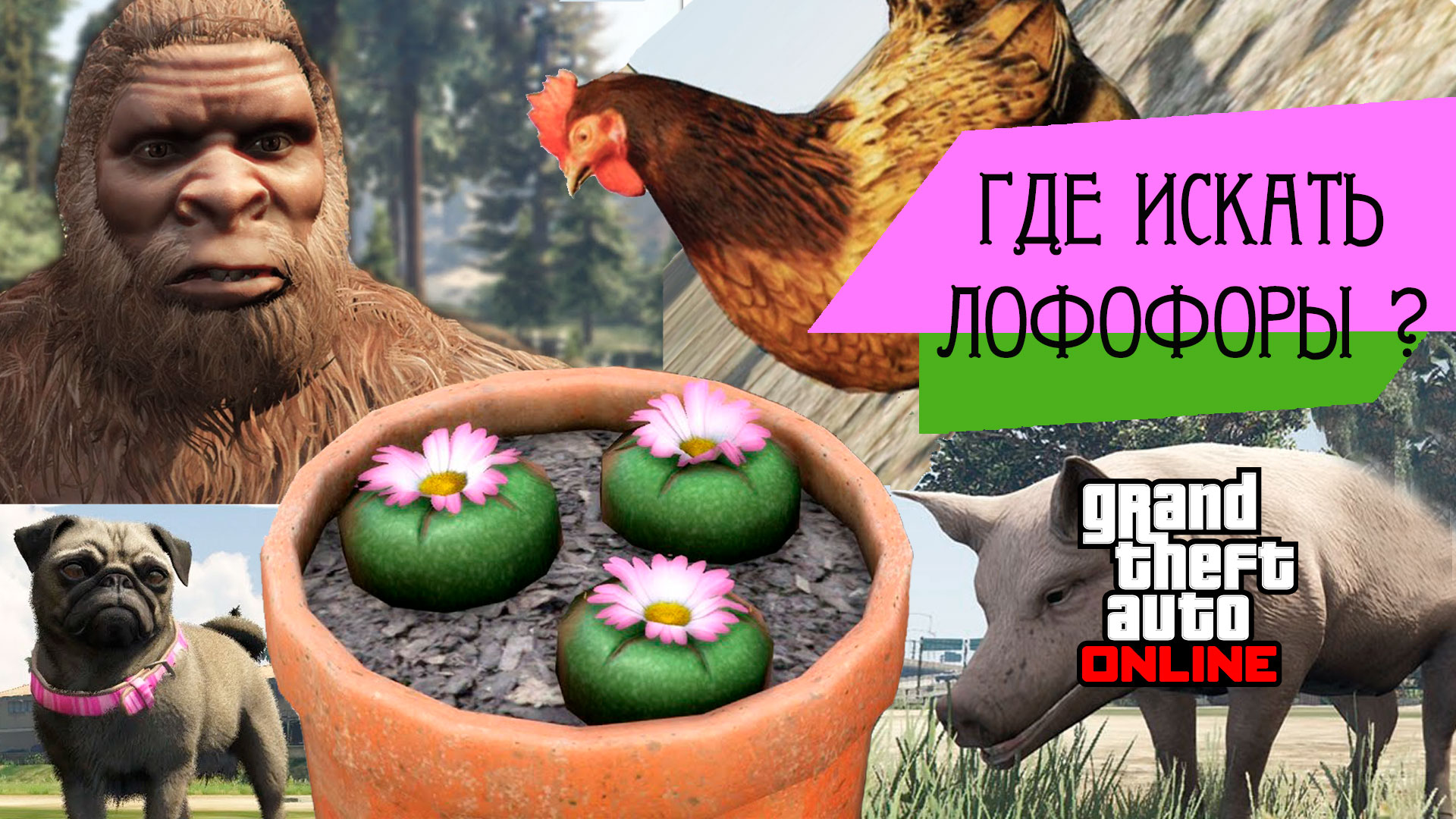 Are there animals in gta 5 фото 21