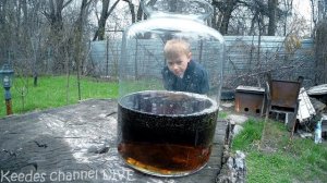 Эксперимент - ЖЕЛУДОЧНАЯ КИСЛОТА против КОЛЫ. МИФ РАЗРУШЕН!!!