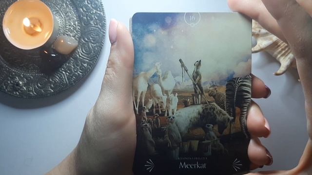 Огляд Оракулу Божественних Тварин/Divine Animals Oracle (AliExpress) українською + мої напрацювання смотреть онлайн