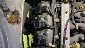 Honda Z PA1 E07Z 1999 1029532