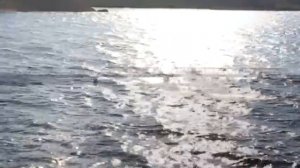 Речка. Евгений Кирилов, Евгения Королькова