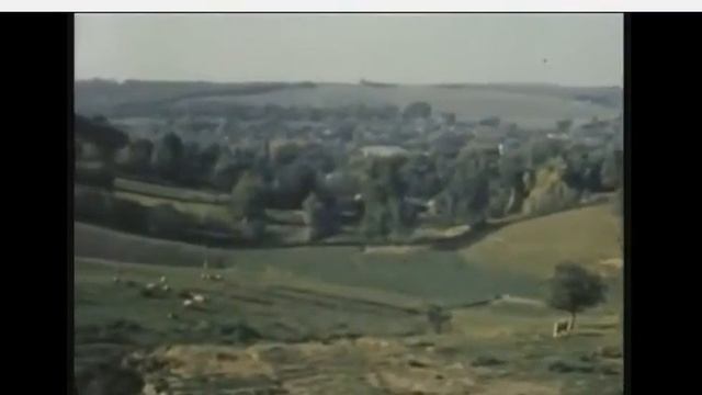 Про Трихинеллу и Трихинелез