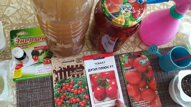 Посев семян томатов для раннего урожая