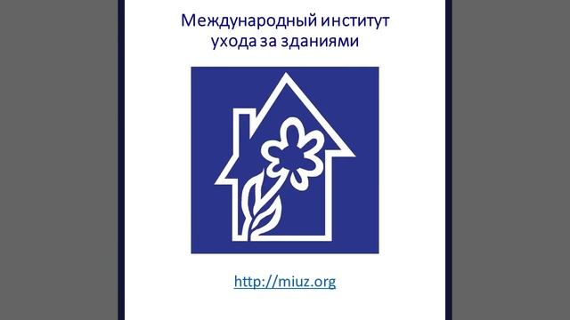 Как учат удалять пятна с ковров и обивки