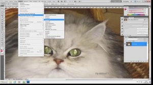 Tutoriel PhotoShop Corriger les Yeux de chat, chien et d'animaux après un Flash.mpg