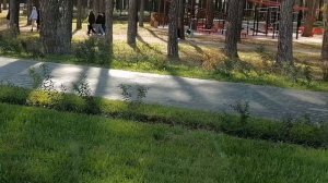 Заводоуковск город в сосновом бору !