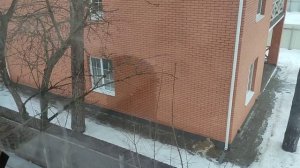 нужен ли вентиляционный зазор и коробочки в кирпичном фасаде? прямой ответ
