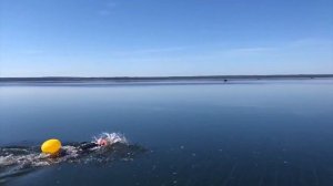 За год плавания попала в Swim Rocket X. Ольга Степанишина о школе плавания Свим Рокет