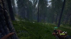 Как стая волков загрызла охотника в The Hunter Call of the Wild (Yukon Valley)