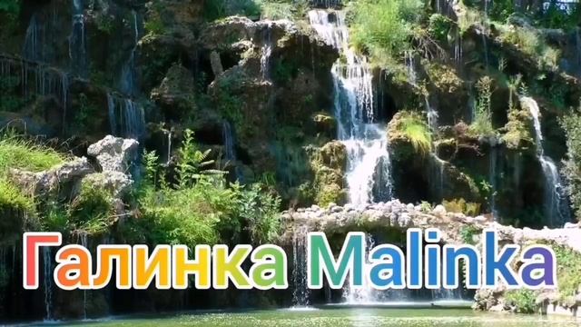 Колесниковы /Похер веники /Гулять так гулять /Обзор Влогов / смотреть онлайн