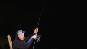 НОЧНАЯ ловля ЛЕЩА и КАРАСЯ на ФЛЭТ ФИДЕР на РЕКЕ. Не РЫБАЛКА, а мечта! Руки дрожат от ТРОФЕЕВ