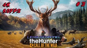 С 23 Всех Друзья / Стрим #3 / theHunter Call of the Wild™ / #4к60fps