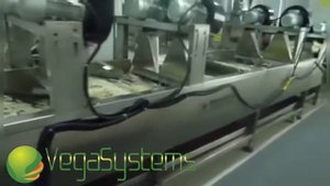 Производство картофеля фри Vega Line French fries