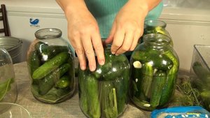 Посолить БОЧКОВЫЕ ОГУРЦЫ за 10 минут Быстро Просто БЕЗ УКСУСА!!