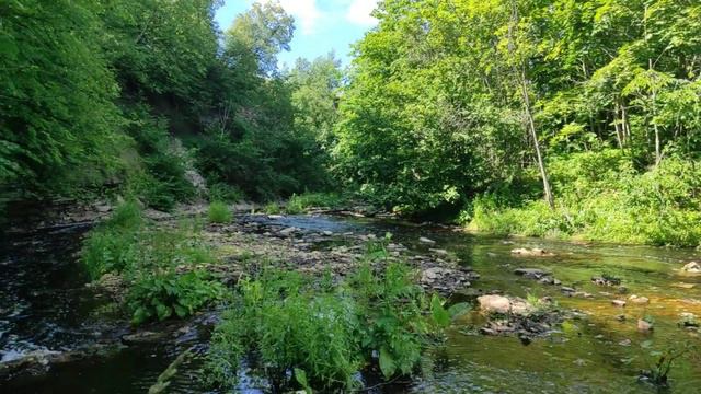 Река Лава июль 2022г.