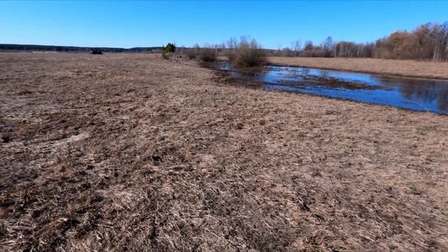Весенняя охота на селезня с подсадной .Часть 2.Удмуртия 2022. смотреть онлайн