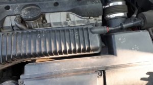 Крысы под капотом.