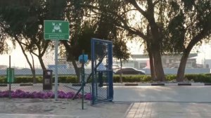 Заповедник фламинго Рас-Аль-Хор | Ras Al khor flamingo sanctuary