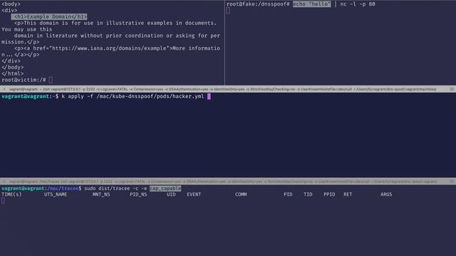 Demo: ARP & DNS spoofing on Kubernetes смотреть онлайн