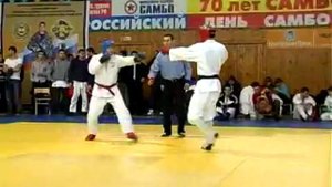 Бои Александра Ревунова и Ильдара Шабанова