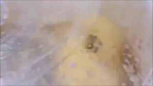 Авто. чистилка картошки