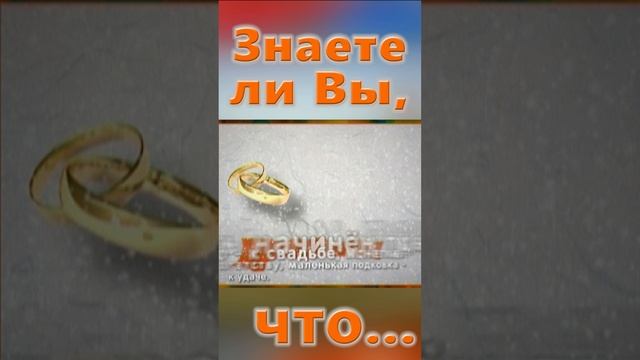 Знаете ли вы, Что? Рождественский пирог