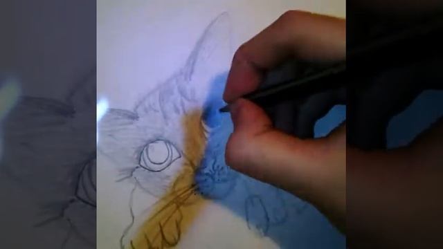 РИСУЕМ КОТЕНКА/draw for me смотреть онлайн