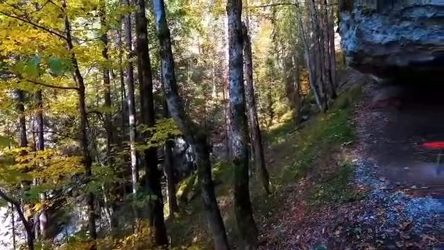 Осеннее настроение