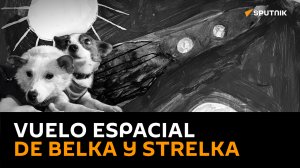 Hace 63 años, las perras cosmonautas Belka y Strelka viajaron al espacio