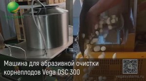 Абразивная очистка корнеплодов, мойка овощей, фруктов, картофеля Vega DSC 300 | Мойка и очистка