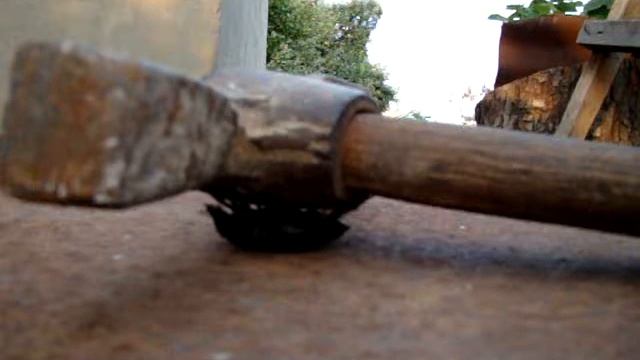 жук силач смотреть онлайн