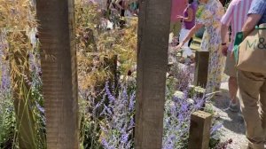 Vlog 309 -  Лучшие сады. Английское шоу цветов- обзор садов победителей- золото и серебро