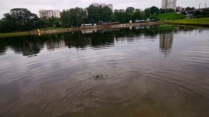 "КЛЮНУЛ РЕЧНОЙ КРОКОДИЛ" РЫБАЛКА НА КАСТИНГ РЫБАЛКА НА ВОБЛЕР MAJOR CRAFT BASSPARA BPC-692M