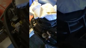 Winboat 440R Suzuki df9.9 brs