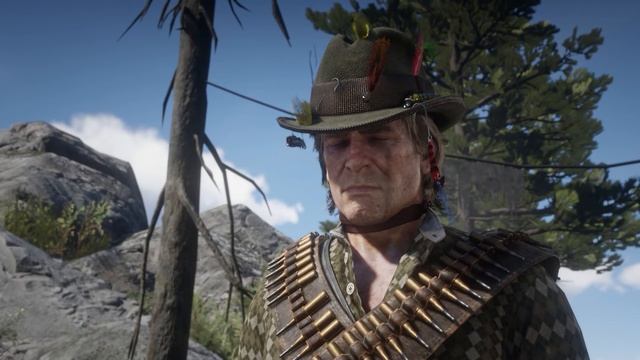 Если Артур принесет труп солдата, Рейнс Фолл отреагирует на это - RDR 2