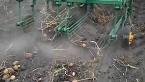 картофелекопалка самодельная грохотная 2-х рядная