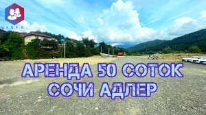 Аренда земельного участка 50 соток в Сочи #аренда #сочи #апри #недвижимость
