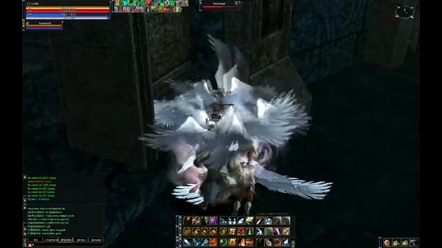 destr warlord toi Дестр на сабе варлордом в ТОИ смотреть онлайн