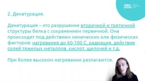 НШ | Химия. Химические свойства белков и качественные реакции на белки